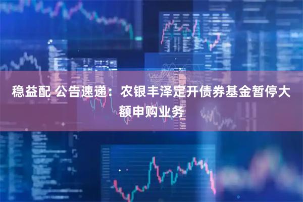 稳益配 公告速递：农银丰泽定开债券基金暂停大额申购业务