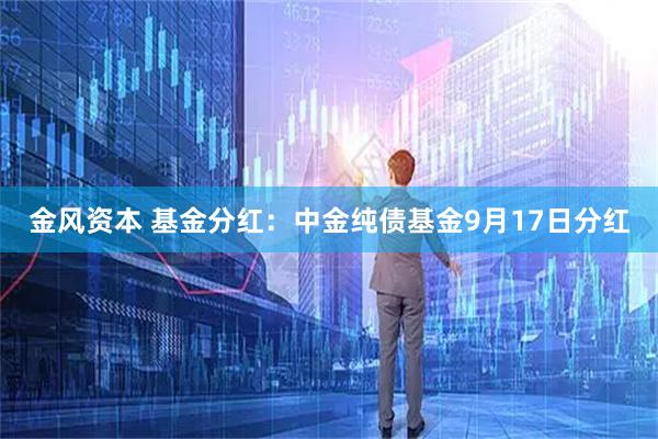 金风资本 基金分红：中金纯债基金9月17日分红