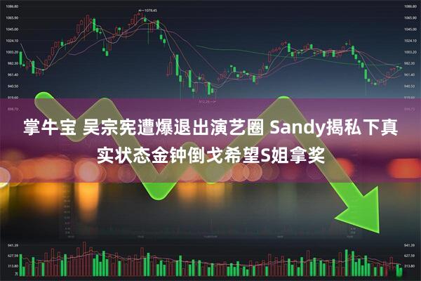 掌牛宝 吴宗宪遭爆退出演艺圈 Sandy揭私下真实状态金钟倒戈希望S姐拿奖