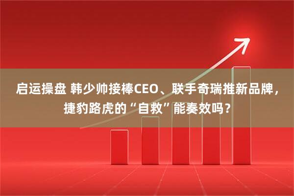 启运操盘 韩少帅接棒CEO、联手奇瑞推新品牌,捷豹路虎的“自救”能奏效吗?