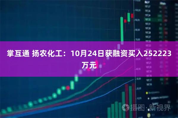 掌互通 扬农化工：10月24日获融资买入252223万元