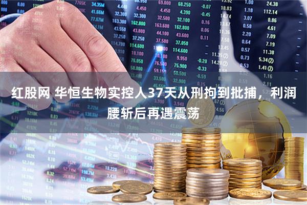 红股网 华恒生物实控人37天从刑拘到批捕,利润腰斩后再遇震荡